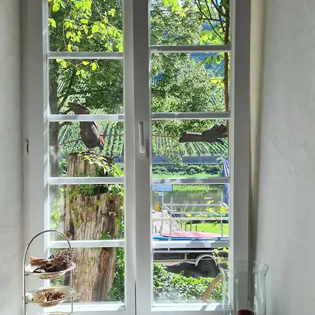 Mosel-side De Luxe דירה